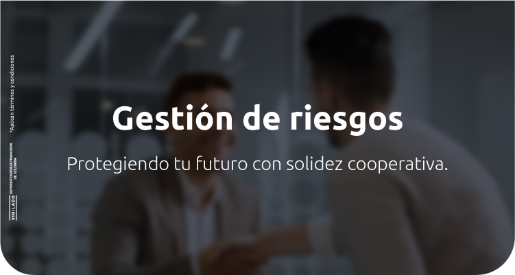 Gestión de Riesgos - JFK