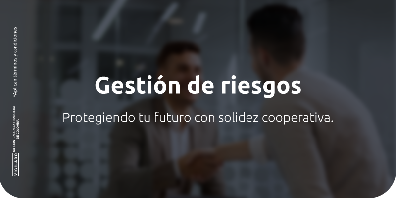 Gestión de Riesgos - JFK