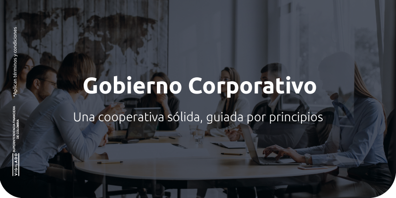Gobierno Corporativo - JFK