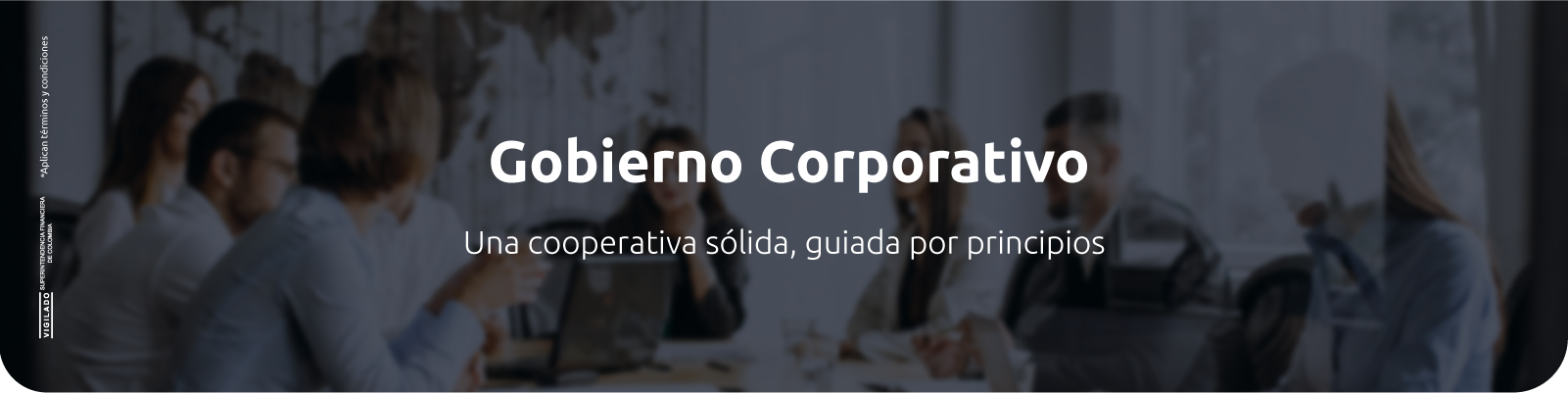 Gobierno Corporativo - JFK